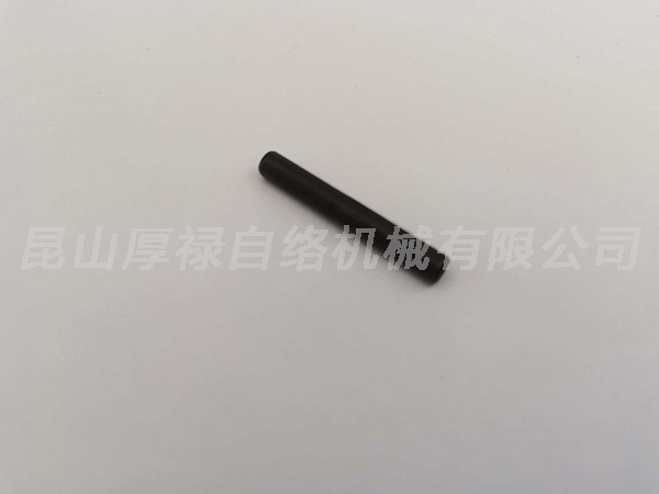 P438470294 N