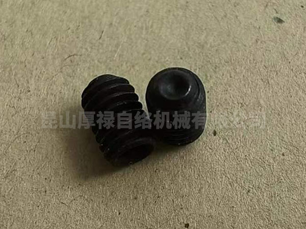 R21128004006 (M4x6 )